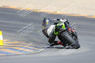 media/Mar-10-2024-SoCal Trackdays (Sun) [[6228d7c590]]/9-Turn 8 Backside (1150am)/